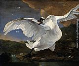 Unknown Jan Asselijn The Threatened Swan painting